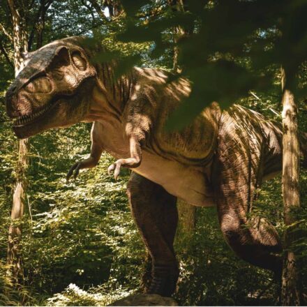 Professor encontra quatro pegadas gigantes e pode ter descoberto uma trilha inédita de T-rex adulto