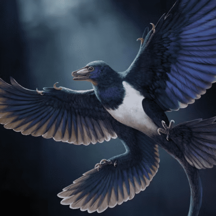 Novo dinossauro com penas pode mudar o que sabemos sobre a origem do voo Novo dinossauro com penas pode mudar o que sabemos sobre a origem do voo